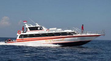 D'camel Fast Boat,
 lembongan transfer,
          lembongan fast boat